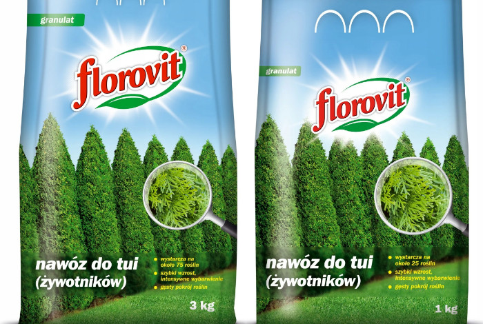 Подкормка туи: когда вносить удобрения, чем и как подкормить, пропорции ...